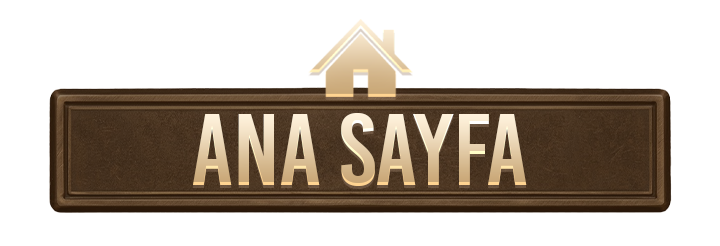 Ana Sayfa